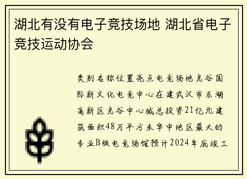 湖北有没有电子竞技场地 湖北省电子竞技运动协会